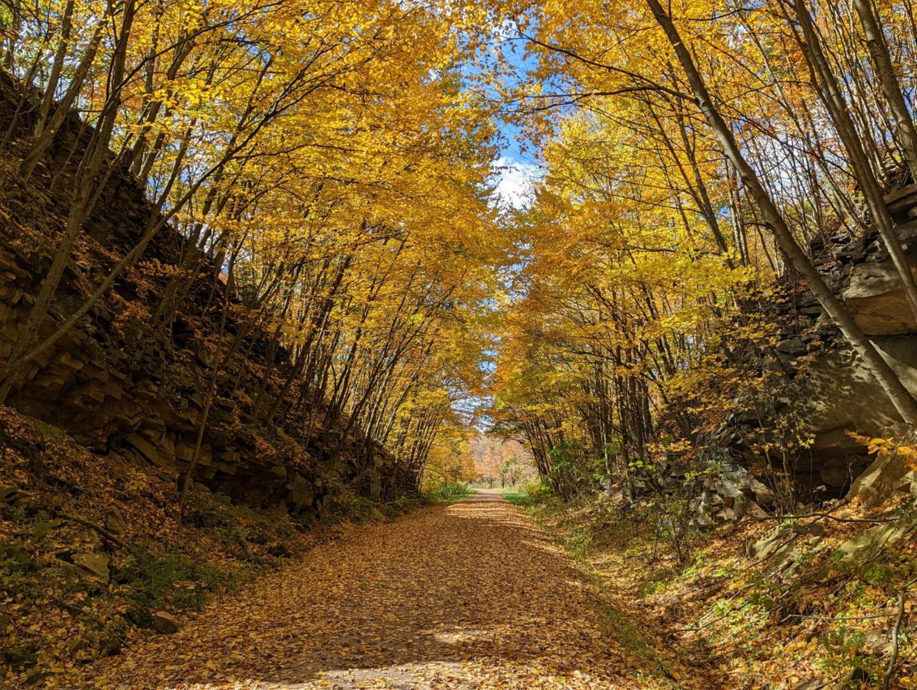 Stay In Ohiopyle Near Everything Including The Trail, Ohiopyle Pa Farmington Kültér fotó